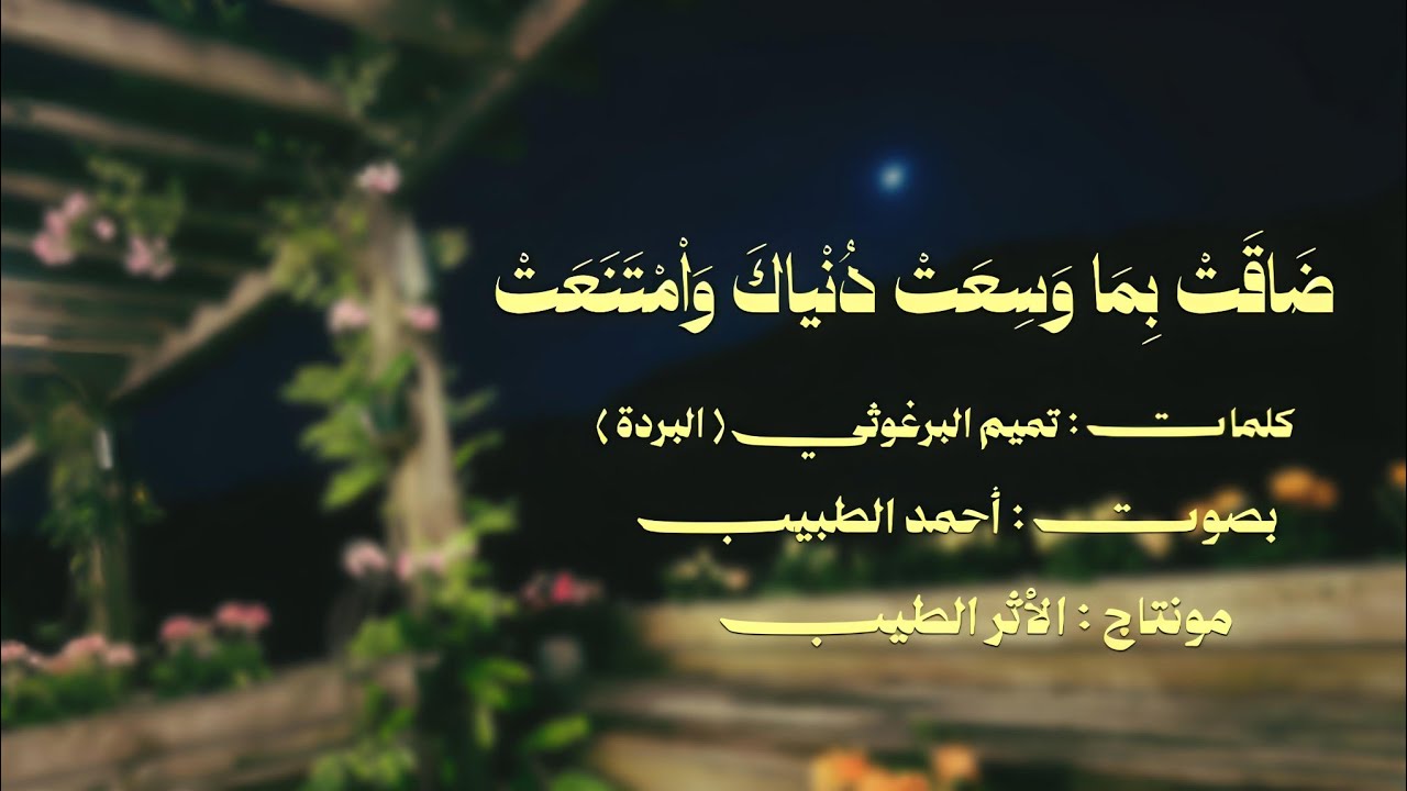ضاقت بما وسعت دنياك || أحمد الطبيب 