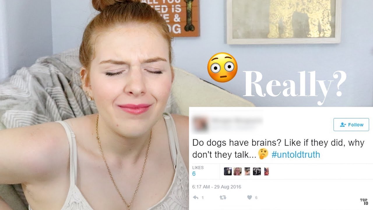 Top 10 Dumbest Tweets [Reaction]