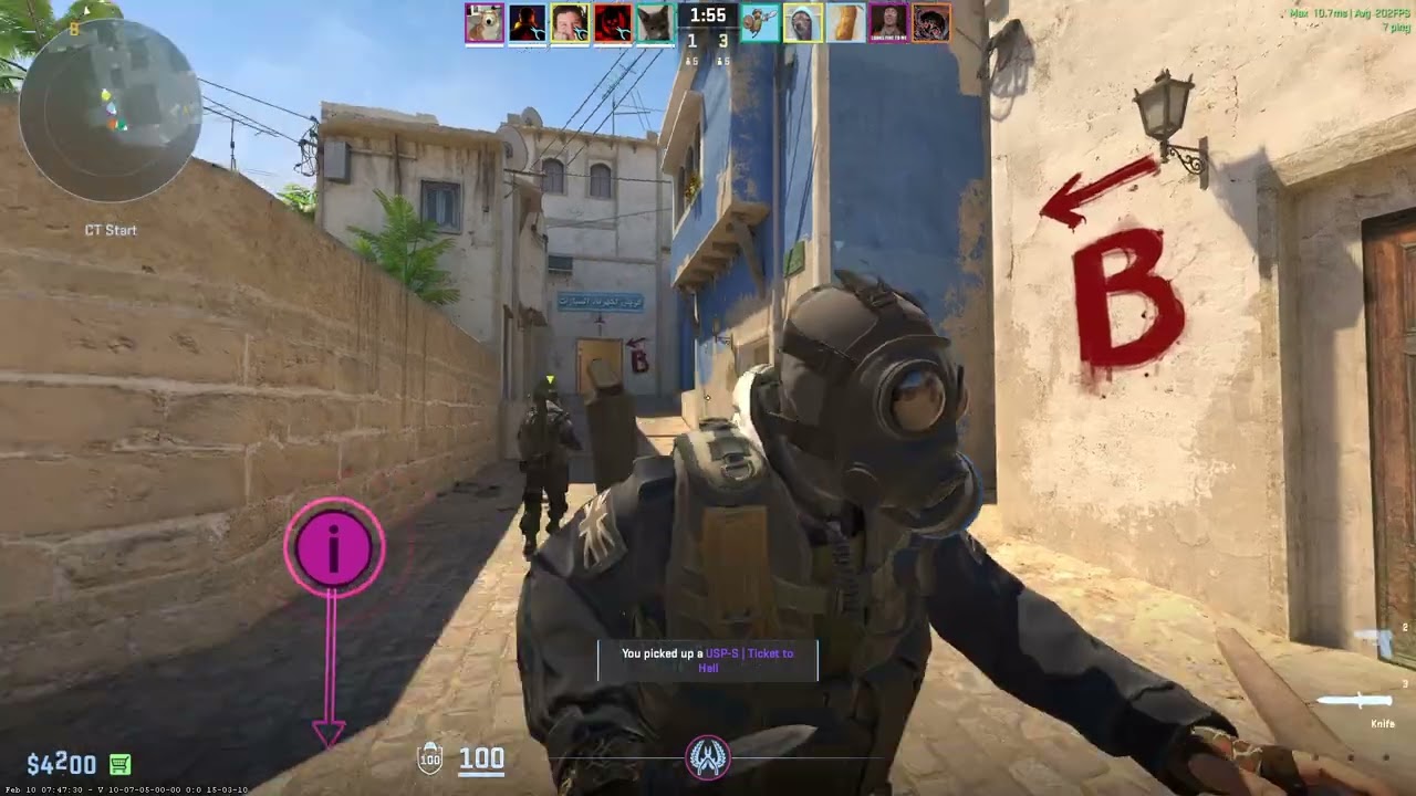 garbo 10 csgo