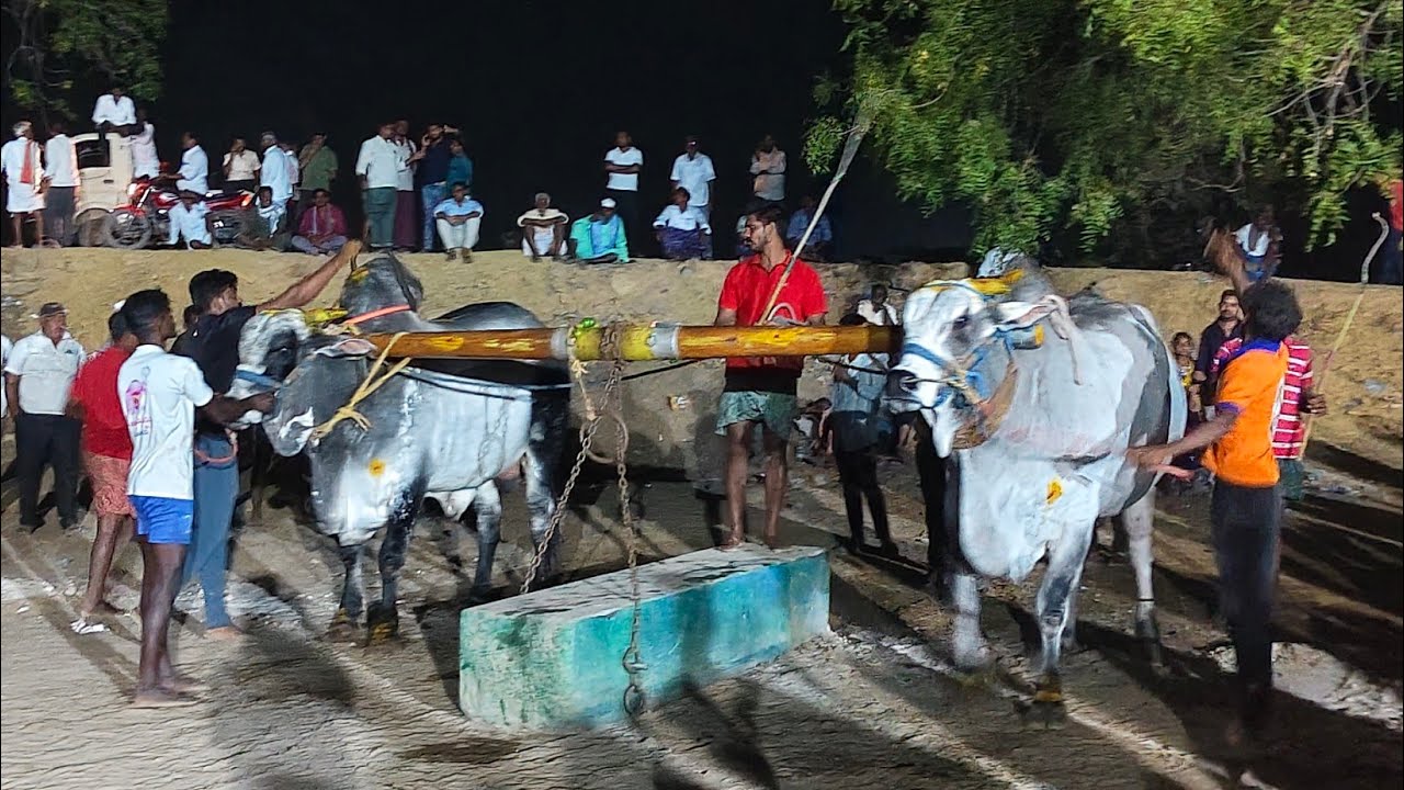 2026-తలారిచెరువు.సీనియర్స్.9వ జత.SBR BULLS షేక్ మహమ్మద్ ఫరీద్ గారు ఏ.నారాయణపురం గ్రామం