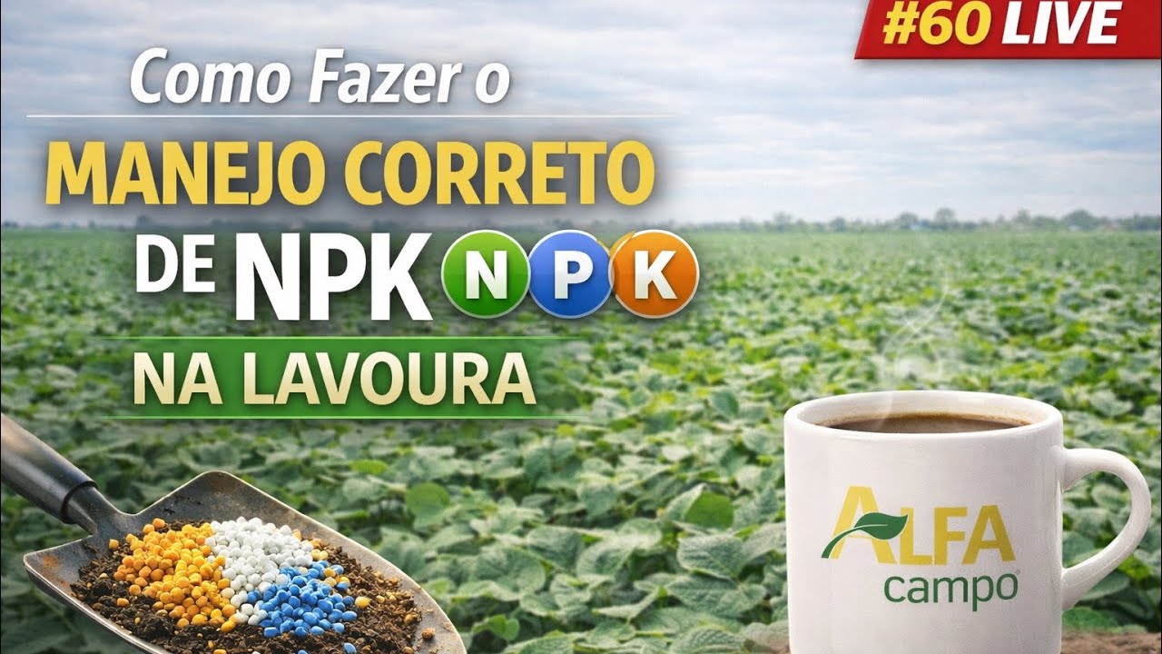 Como Fazer o Manejo Correto de NPK na Lavoura? #60
