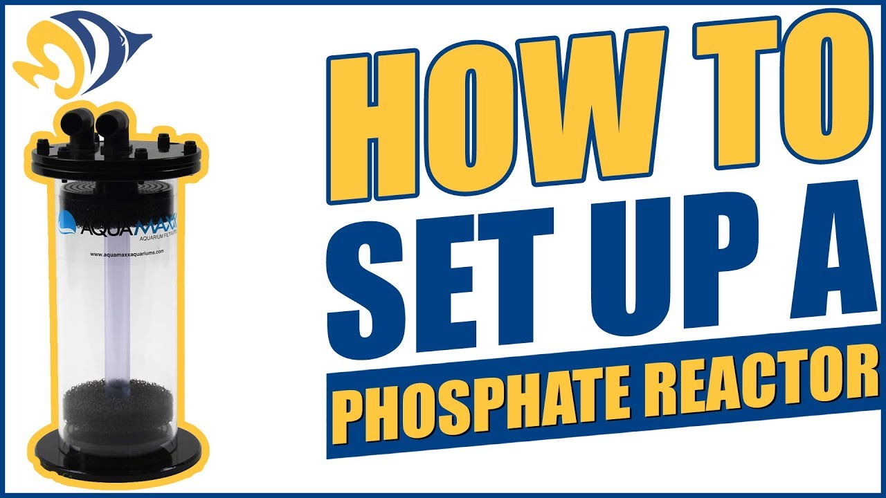 How to Set Up a Phosphate Reactor