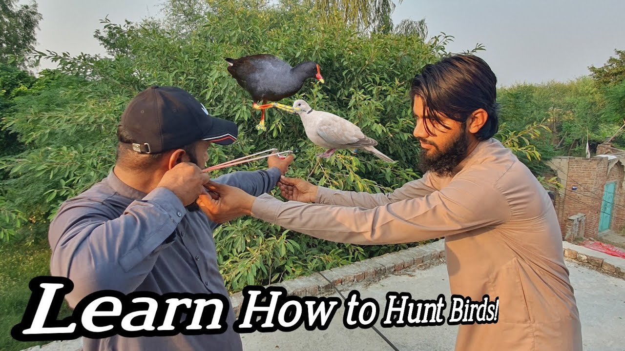 Learn how to Shoot Birds at 180° Angle | Shoot Birds With Slingshot | Remove Drawbacks for New User