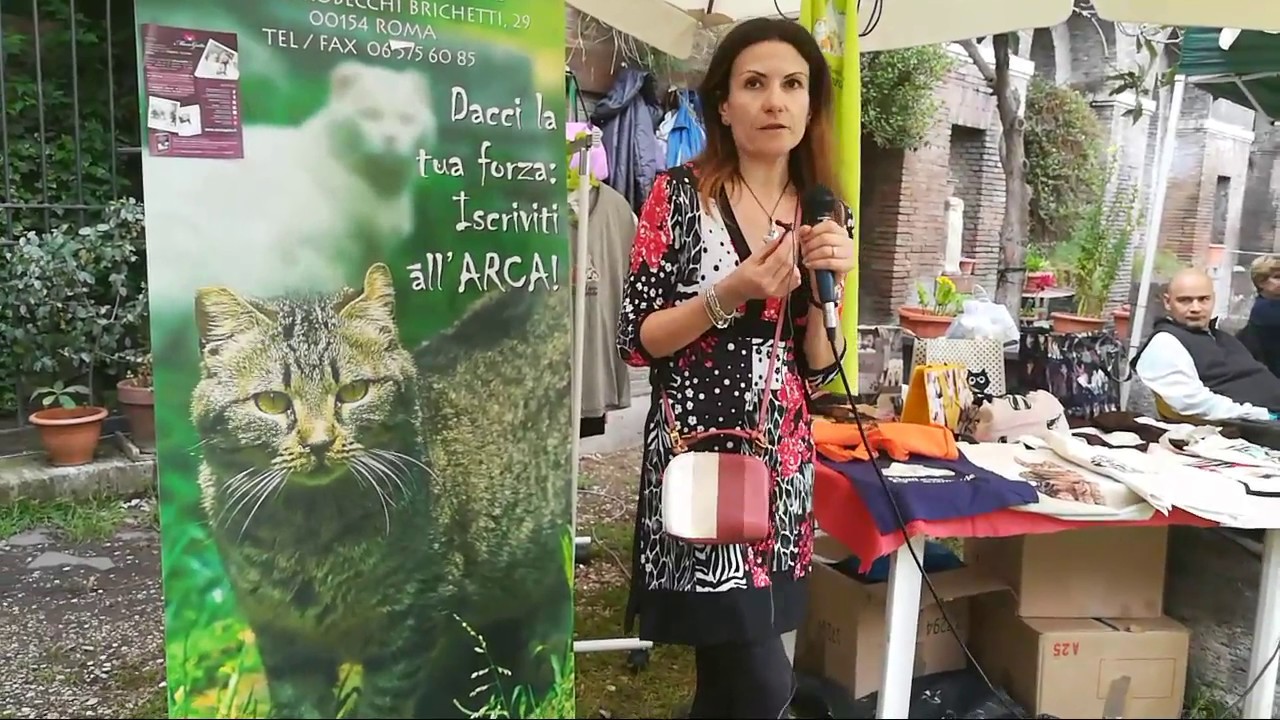 Dott.Ssa De Palma e i Gatti della Piramide Cestia a Roma
