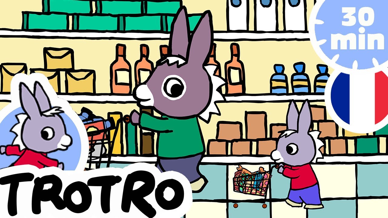 TROTRO - Trotro fait les courses  🛒 | dessin animé | HD |2020