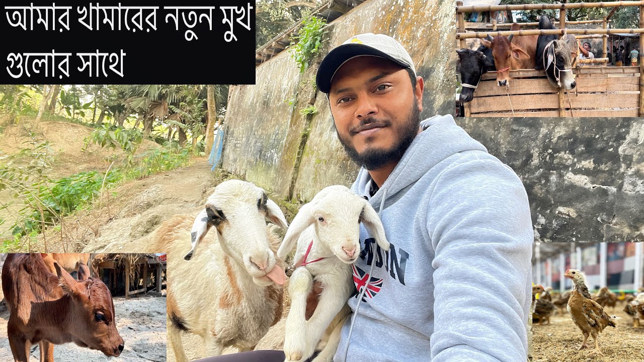 পরিশ্রম, যত্ন আর স্বপ্ন—এইটাই খামার জীবন। ধীরে ধীরে বড় হচ্ছে খামার ।