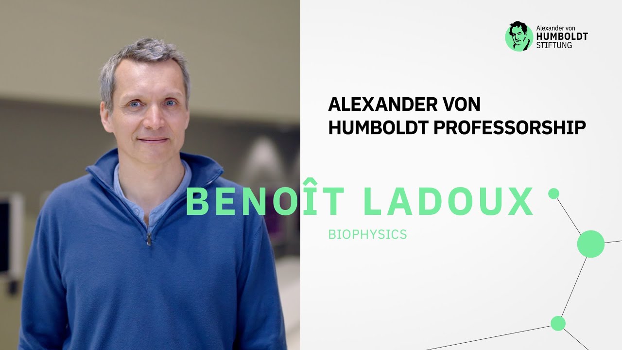 Pioneer of mechanobiology | Humboldt Professor Beno&icirc;t Ladoux