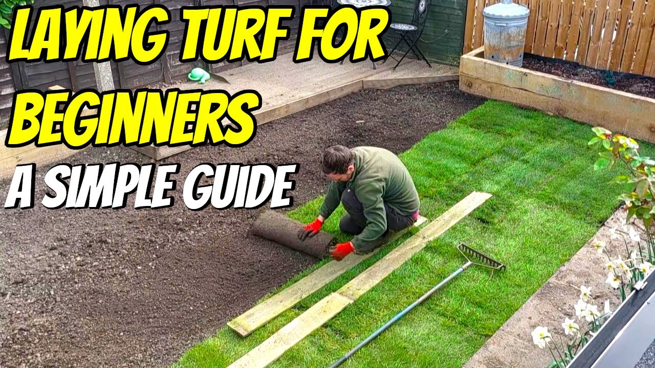 How to Lay Turf | Laying a New Lawn | Step-by-Step