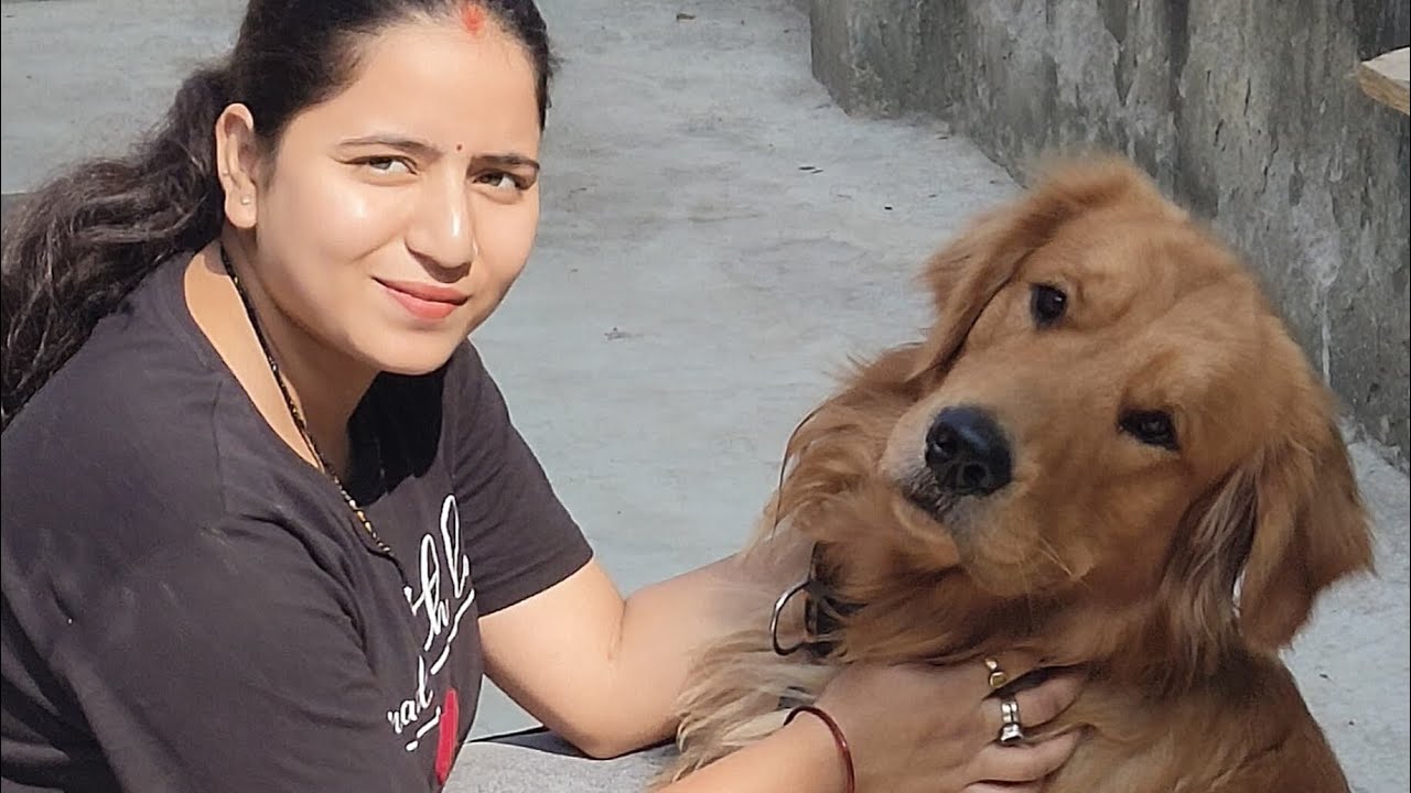 Joe ki nahate time ki cute harkate 🤣🤣 #dog #dogvlog #dogblog #doglove #pets #puppy 