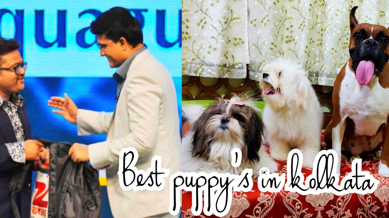 INFORMATIONS BEFORE ADOPTING A PET || Sankha Mukherjee || Succesful Personality in Pet World