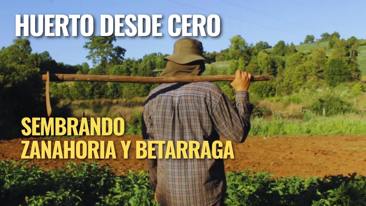 Huerto de Cero. Sembrando Zanahoria y Betarraga en Tierras Bajas.