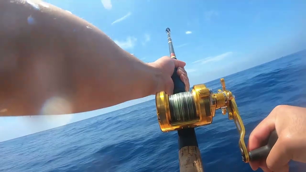 Bluefin Tuna Highliner Sportfishing Limits! End of July 2 Day 976 Tuna including fish counts.