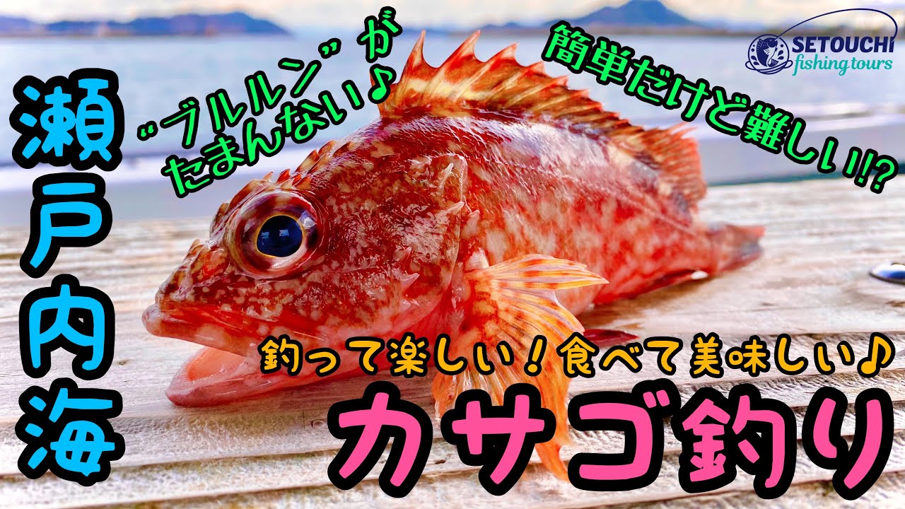 一度行けば一石二鳥‼︎釣って楽しい！食べて美味しい♪そしてまた行きたくなるカサゴ釣り♪ in 岡山県宇野港発 瀬戸内海【カサゴ】