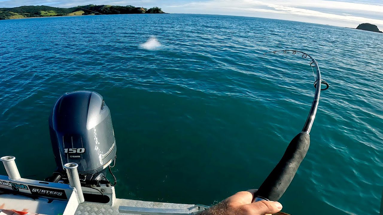 INSANE FISHING IN THE SHALLOWS! (Straylining Snapper)