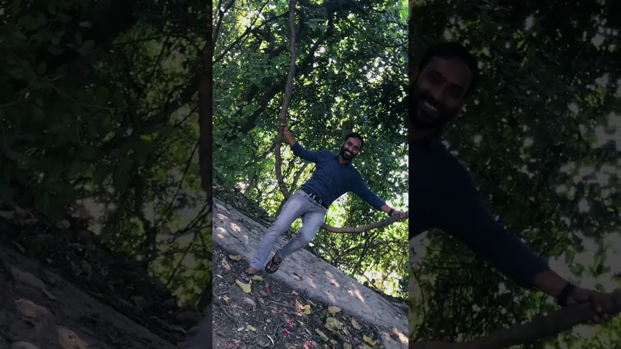 Happiness in Nature | Beatle Ashram | #shorts #beatleashram