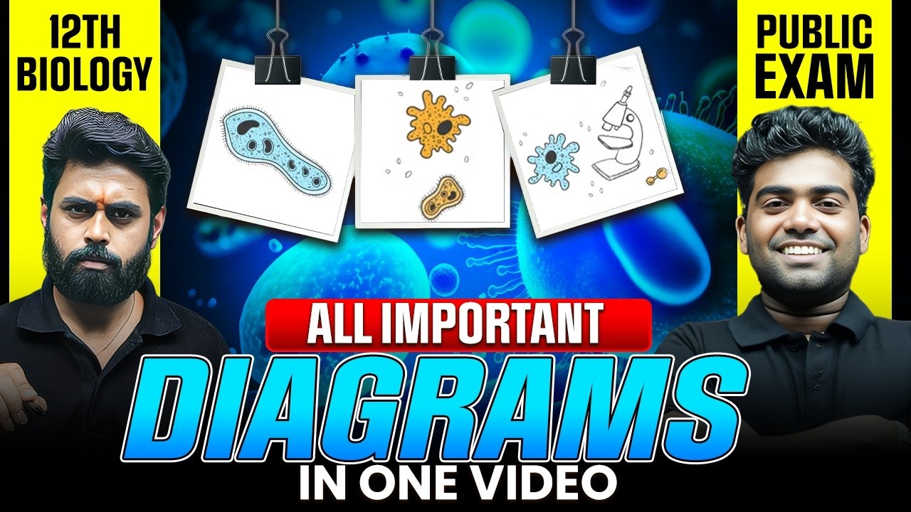 Biology Important Diagrams | Complete Revision in One Video | 12th Public Exam 2026