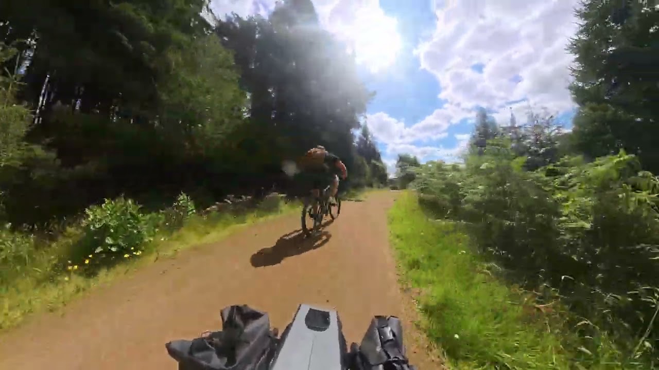 Kielder Forest 2025