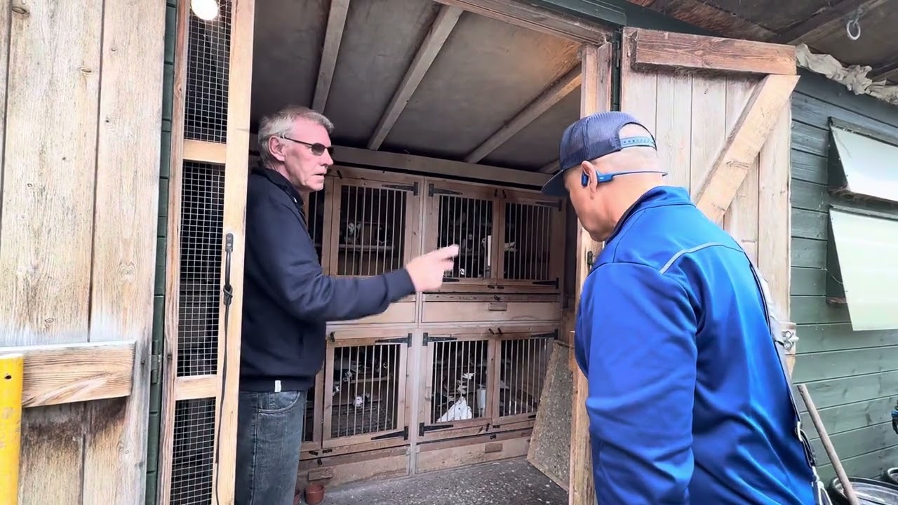 Марк О’Нил – финалист Кубка мира по роллер-пиджеону 2025 года, Великобритания.