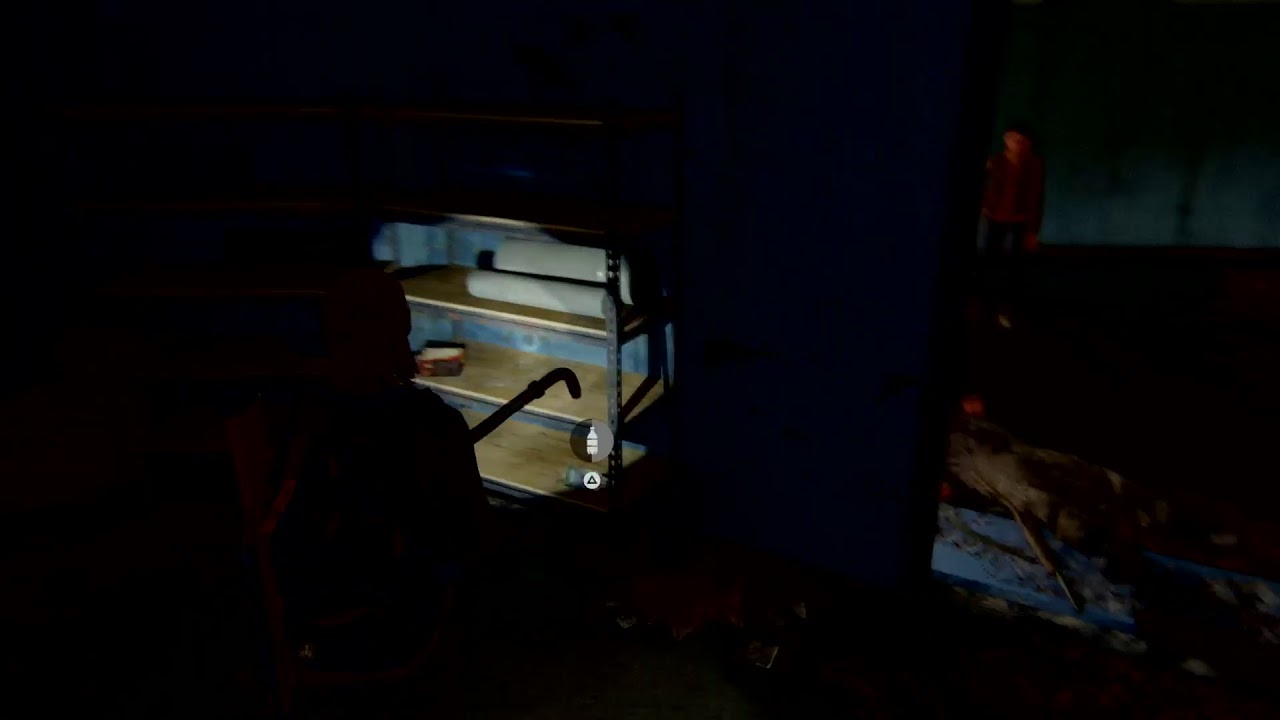 TLoU2 PL