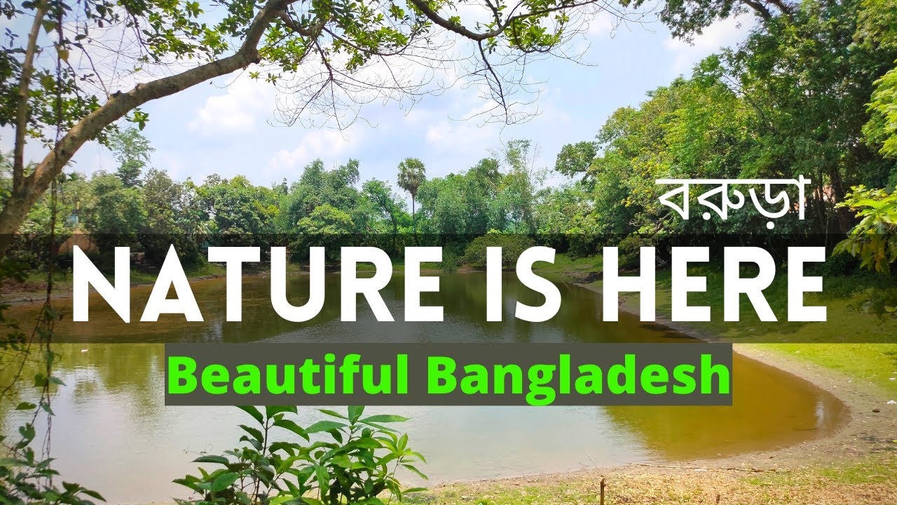 A Quiet Beautiful Village in Barura Cumilla | Beautiful Bangladesh