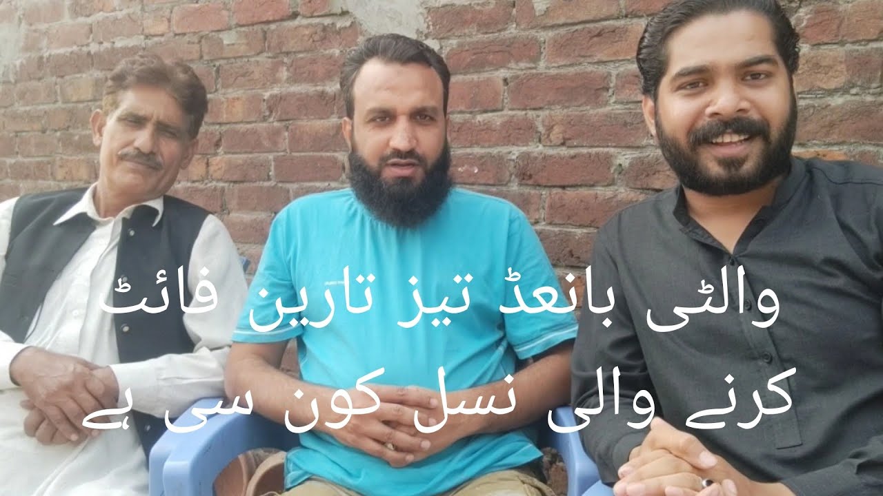 Zaib khan 666. interview walati blood line or Ustad shoqat k sat interview Sabaraliaseel222.🔥.#aseel