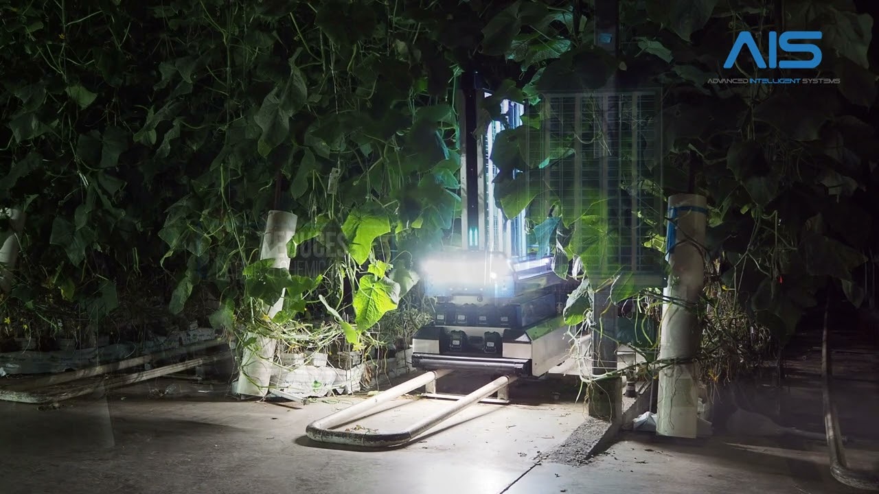 Phoenix &ndash; The Autonomous UV-C Robot for Greenhouses