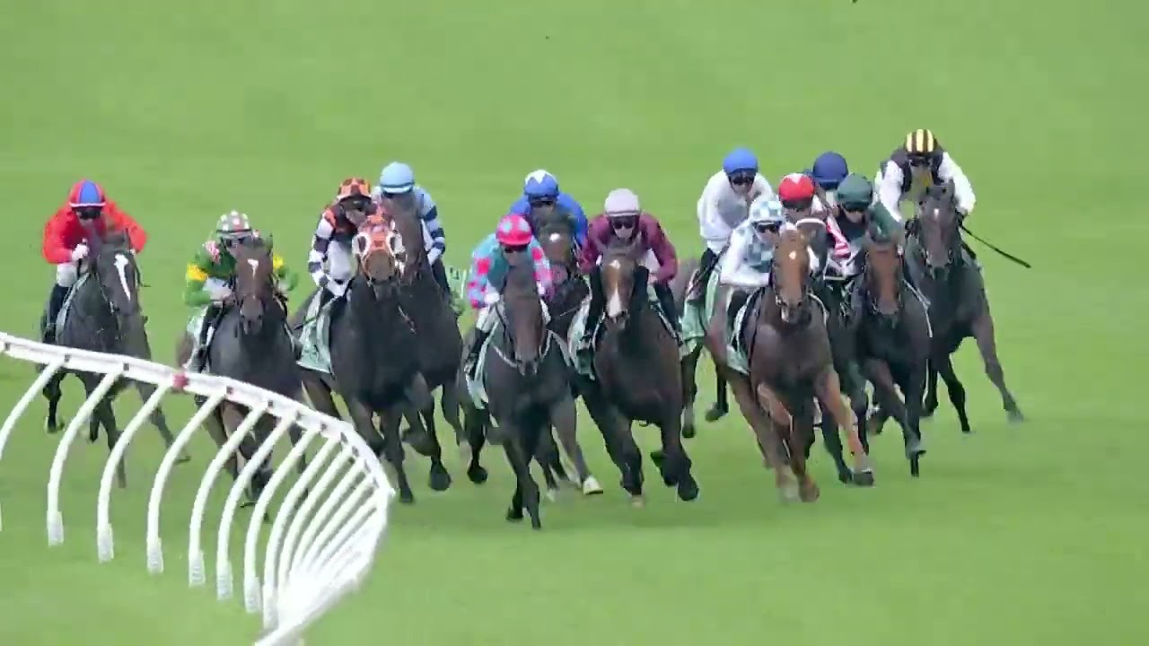 Magic Millions 2yo Classic 2026 - UNIT FIVE (2YO SW RLR) Ограниченный список участников, Голд-Кос...