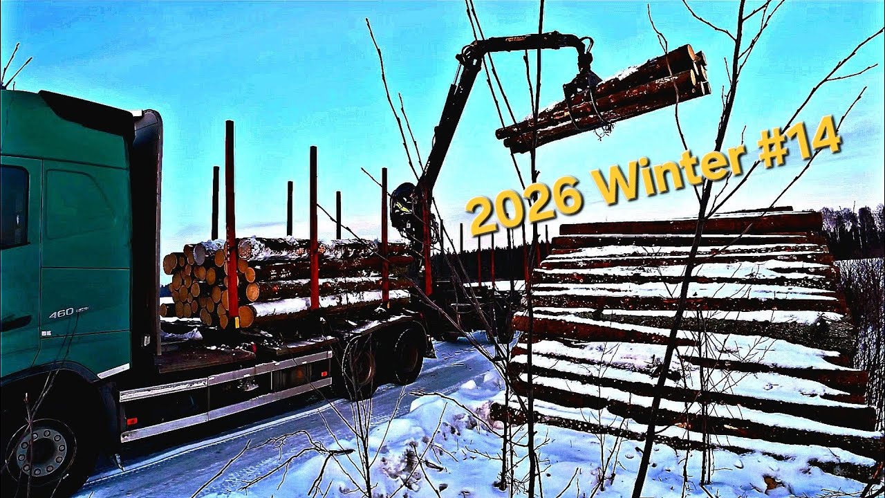2026 Winter #14. Popietė... 3,6 m rąstai... Pagalba senjorui...