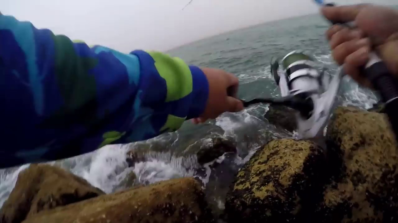 Inshore Fishing in Oman catching 12kg Queenfish Okuma Azores Z55s and Daiwa Crossfire