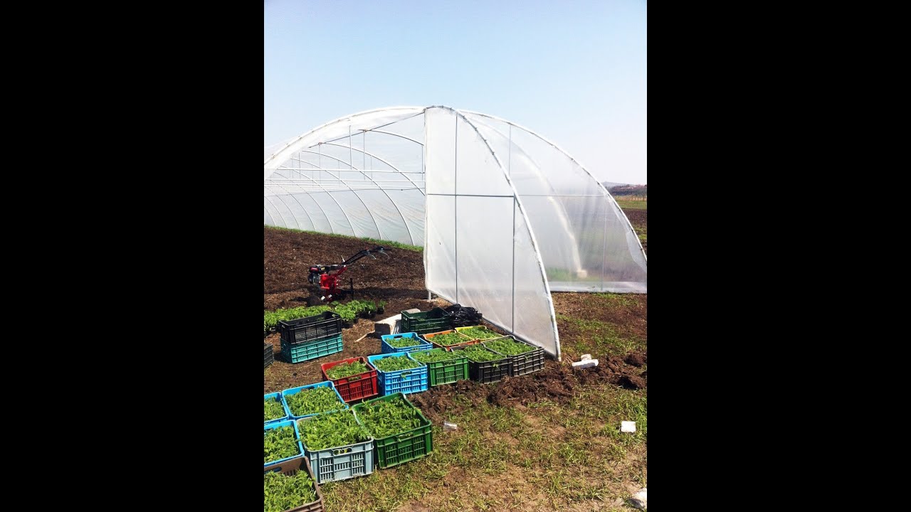 Sere IMD - Sere, solarii profesionale si accesorii - Jucu de Sus, Jud. Cluj, www.sereimd.ro