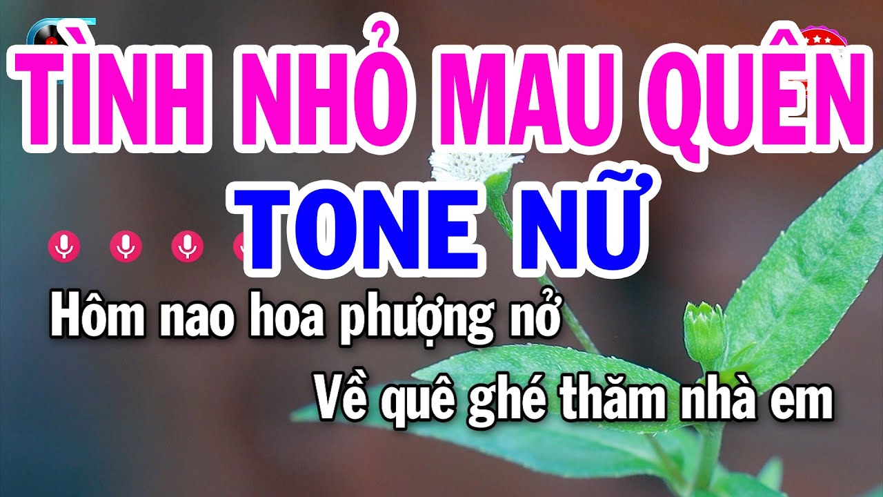 Karaoke Tình Nhỏ Mau Quên Tone Nữ ( Am ) Nhạc Sống Beat Mới 2023 | Đại Lý Karaoke
