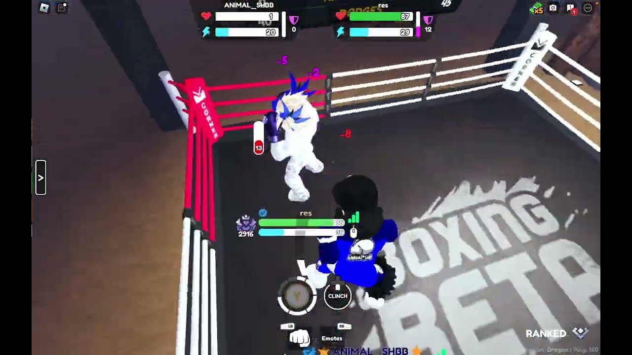 Boxing Beta Roblox ANIMAL_SHBB LEARN FROM LOSES WILL COME BACK STRONGER
