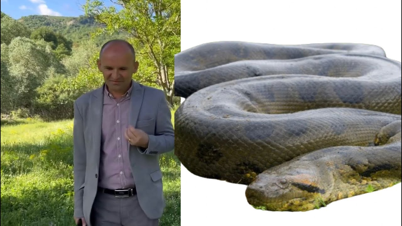 4 orë rrugë malore për të dhënë mësim, profesori: Si i shpëtova gjarpërit 2 metra...