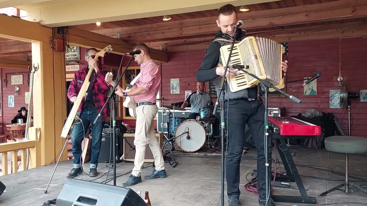 Black Frogs - Give Me Your Heart Tonight @ Rockabilly Convention Pullman City 2022