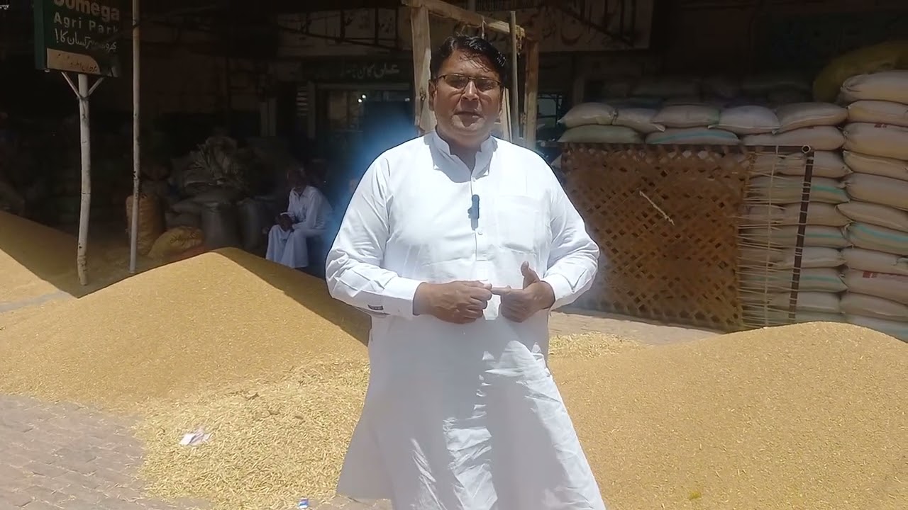 ڈیلی ریٹ اپڈیٹ غلہ منڈی فورٹ عباس محمد عمران کے ساتھ 02/05/2024
