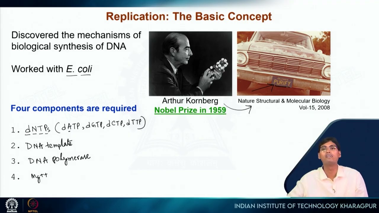 Lecture 5: Mechanistic Overview of DNA Replication #swayamprabha