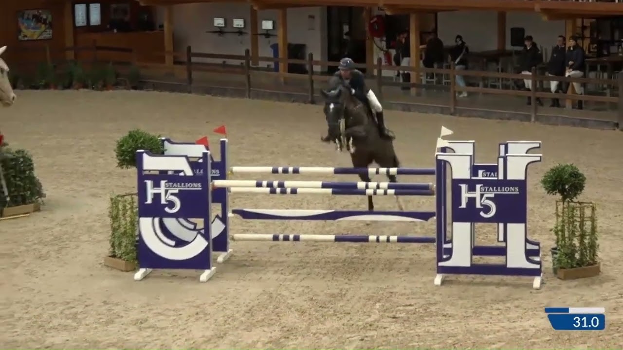 OMARA KIS Z  ORAK D'HAMWYCK x QUASIMODO Z