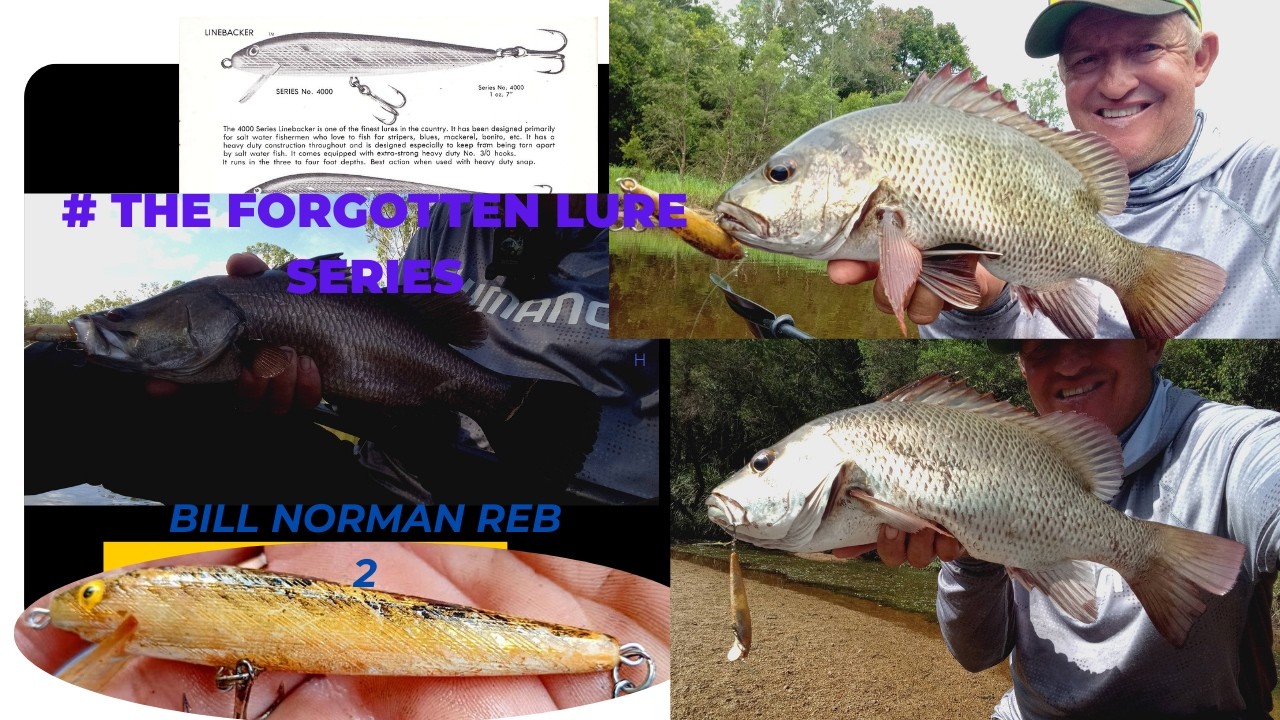 THE  FORGOTTEN  LURES  SERIES