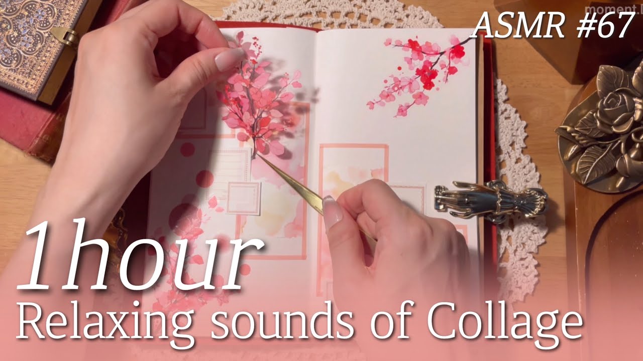 ASMR 1Hour✨꿀잠용 영상 1시간 다꾸 모음 #67 Art Journaling Compilation✨relaxing sounds of collage #コラージュ