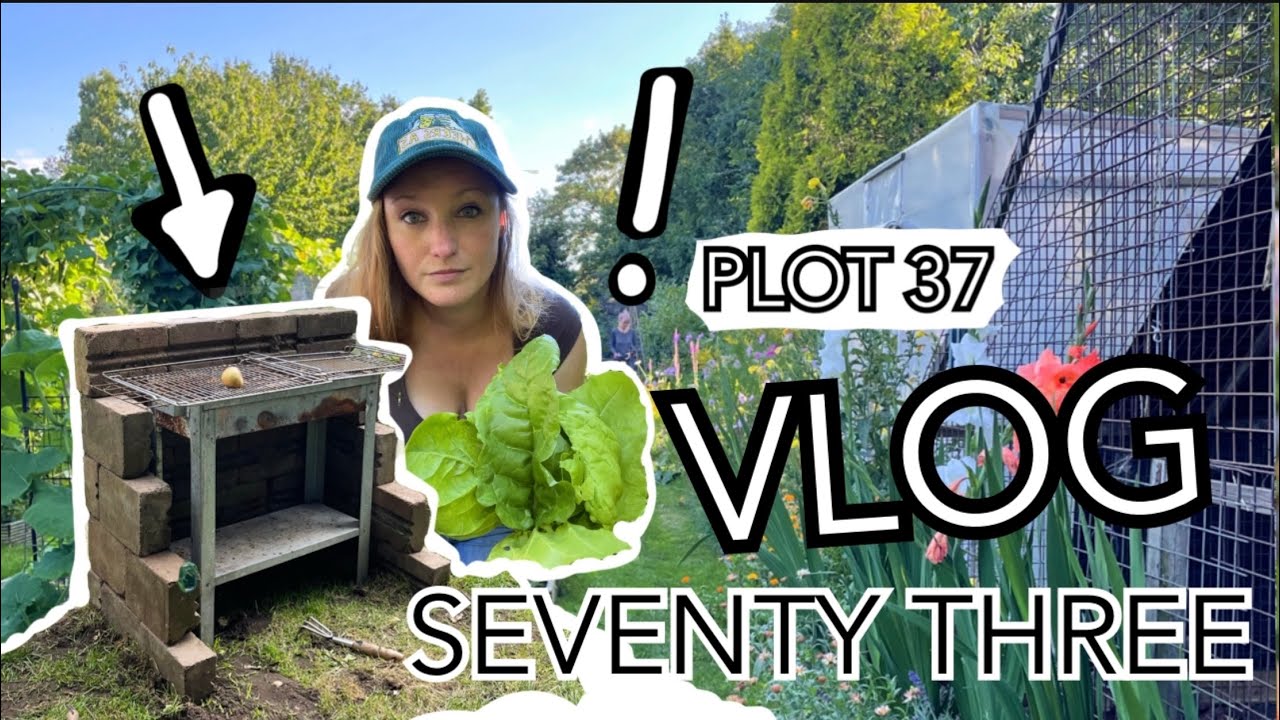 Potato Harvest, a new raised Carrot Bed and the Girls are settling in fine! || Plot 37 (Episode 73)