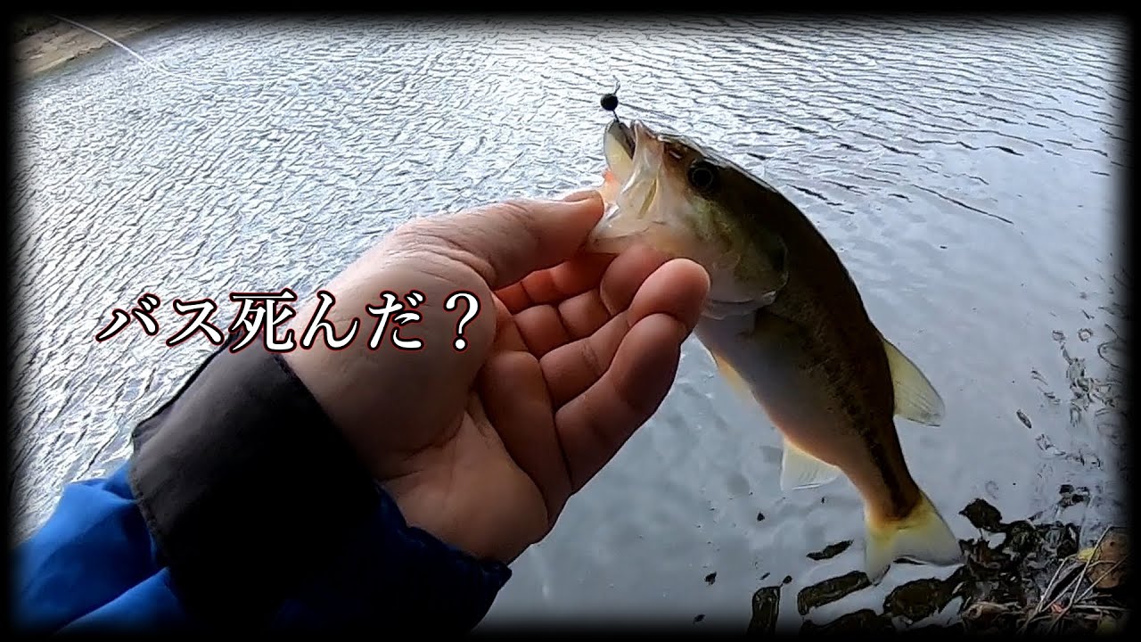 【寒波】今回はこれで勘弁してください【ミドスト】
