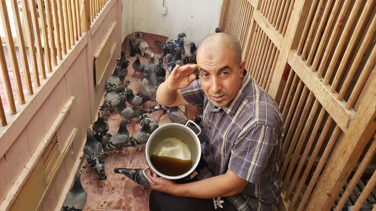 الطريقة الصحيحة لتقديم شاي الاعشاب +جبت الشنبورة وشكرا على تعليقاتكم المفيدة