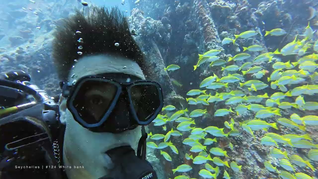 Seychelles | Diving