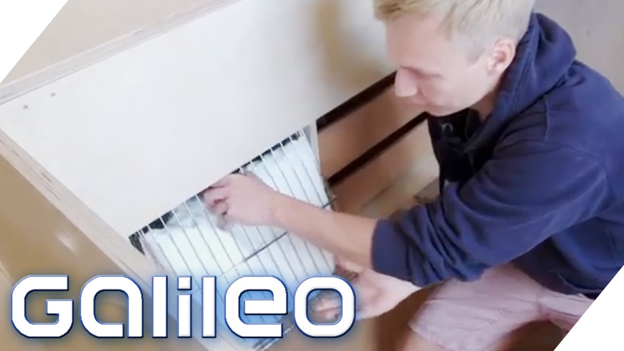 Platzsparende Möbel - So nutzt man Platz in der Wohnung optimal! | Galileo | ProSieben