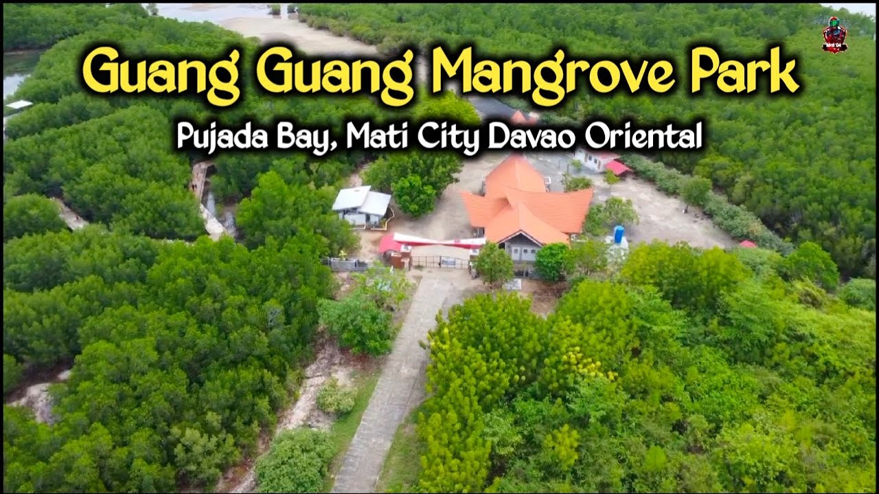 Guang Guang Mangrove Park | PUJADA BAY Mati City