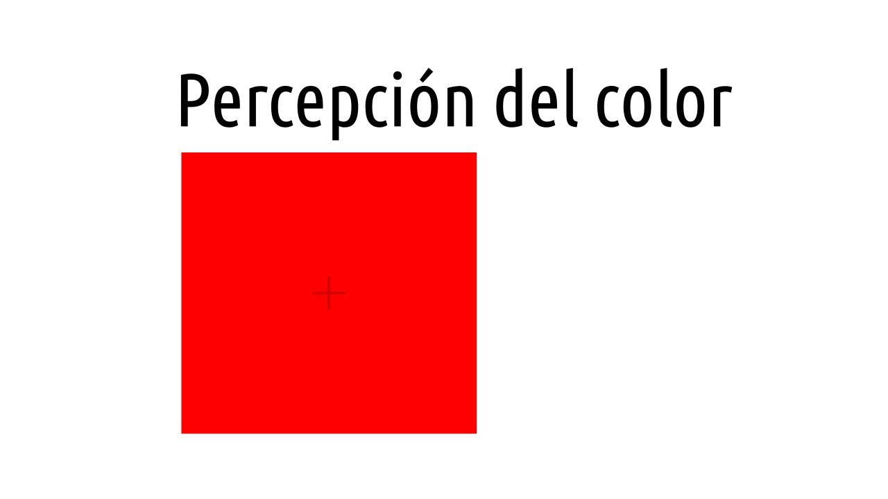 Percepci&oacute;n del color