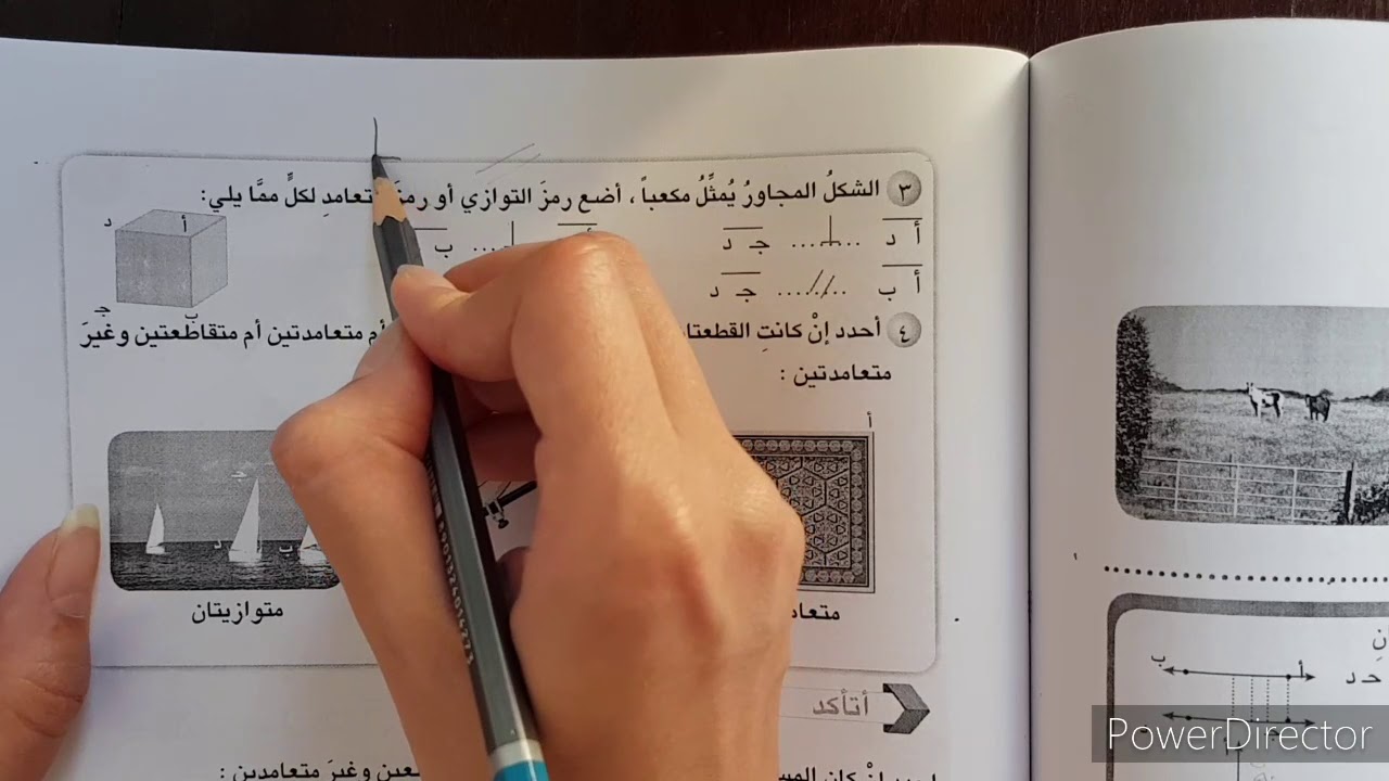 شرح التوازي والتعامد وتصنيف المثلثات رياضيات الصف الخامس