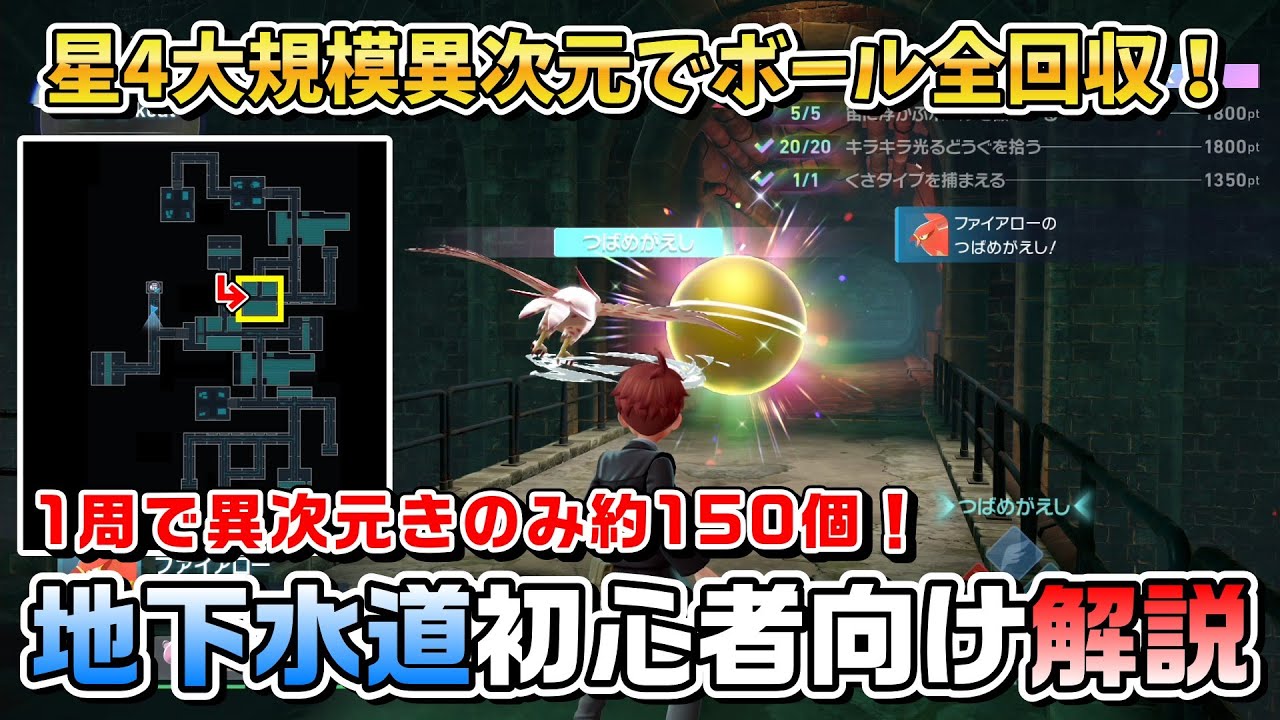 【ポケモンZA】大規模異次元「地下水道」の回り方 初心者向け徹底解説【きのみ集め･オシャボ集め】