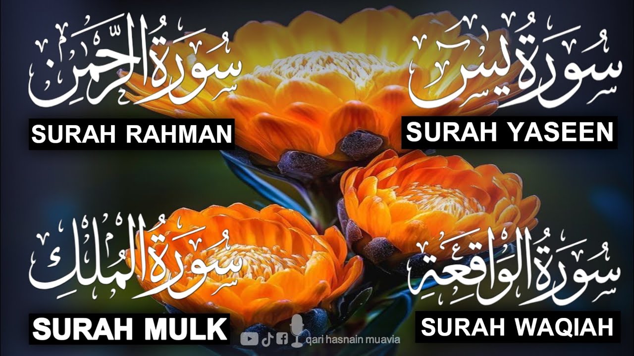 Surah Yasin ❤️ Surah Rahman , Surah Waqiah , Surah Mulk | Ep 299,یس