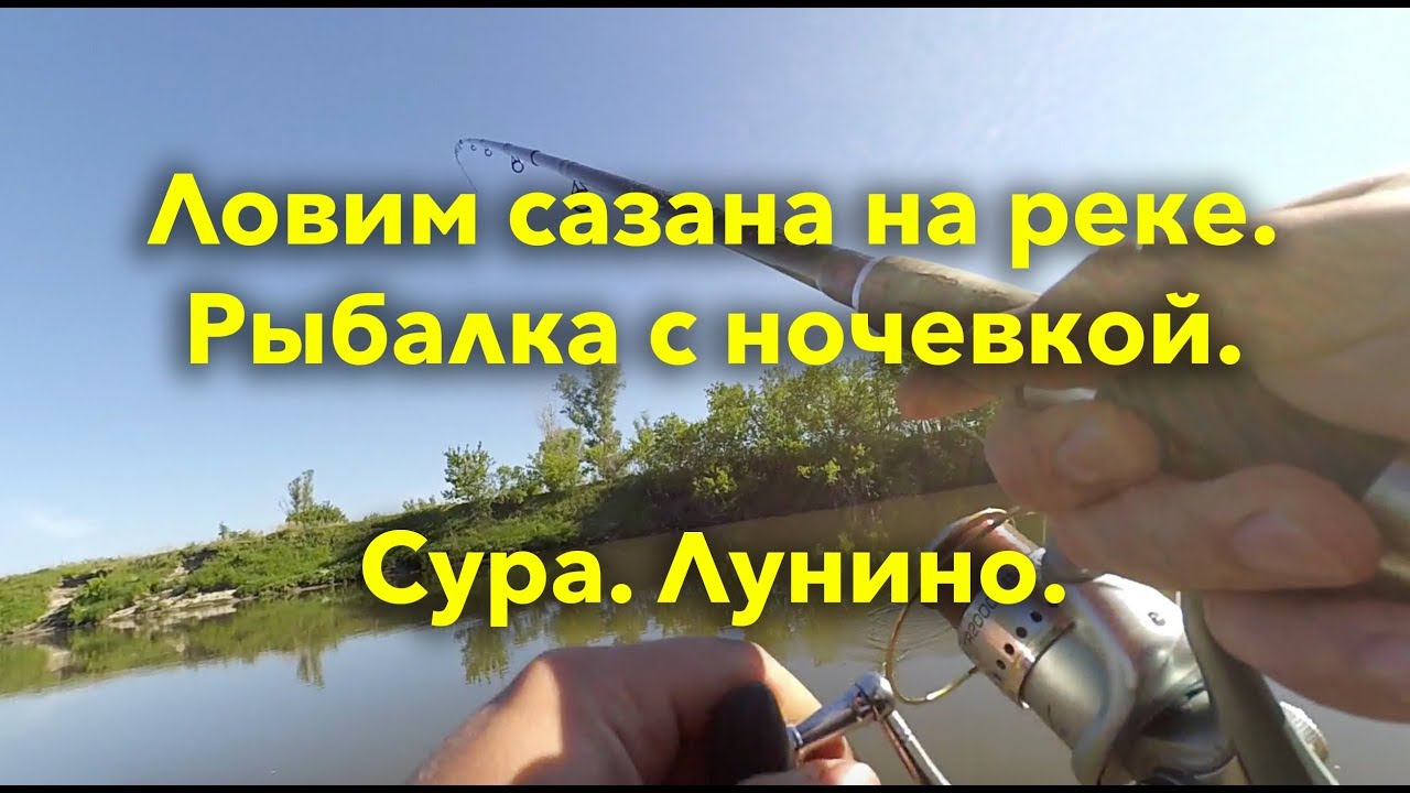 Ловля Сазана На Реке На Фидер в Июне - Рыбалка с Ночевкой. Сура. Лунино. Шашлык